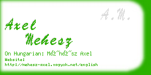 axel mehesz business card